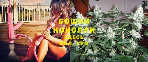 таблы Пересвет
