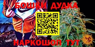 бутират Кингисепп