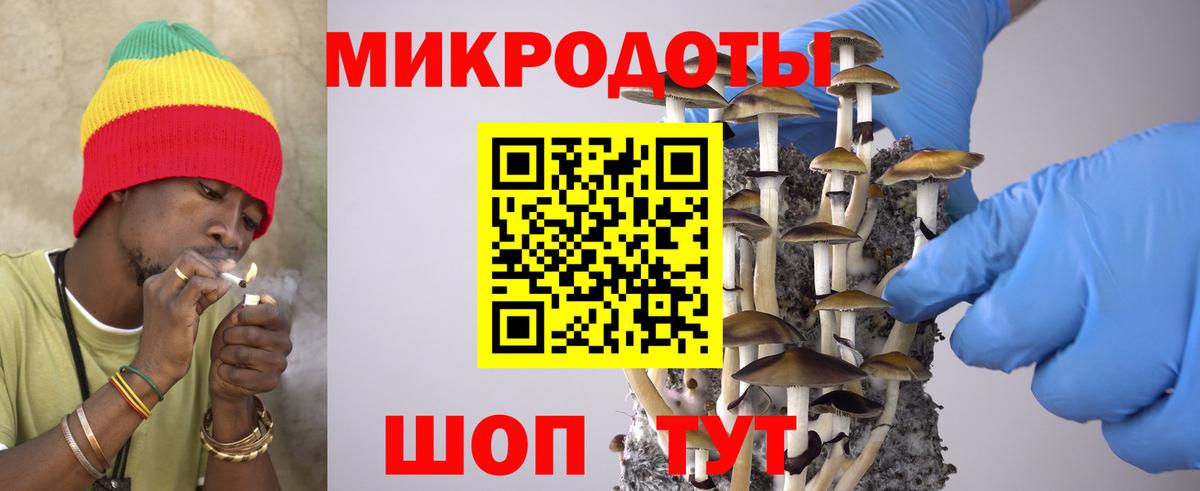 Псилоцибиновые грибы прущие грибы Новосибирск
