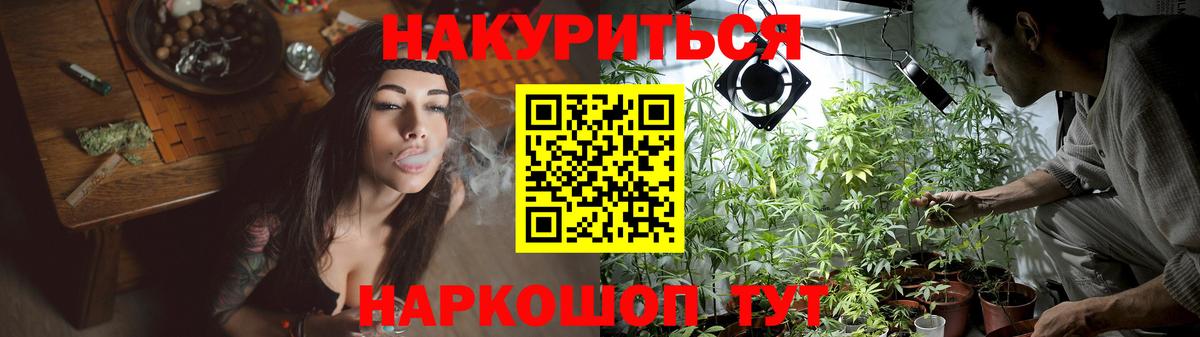 Каннабис планчик Новосибирск